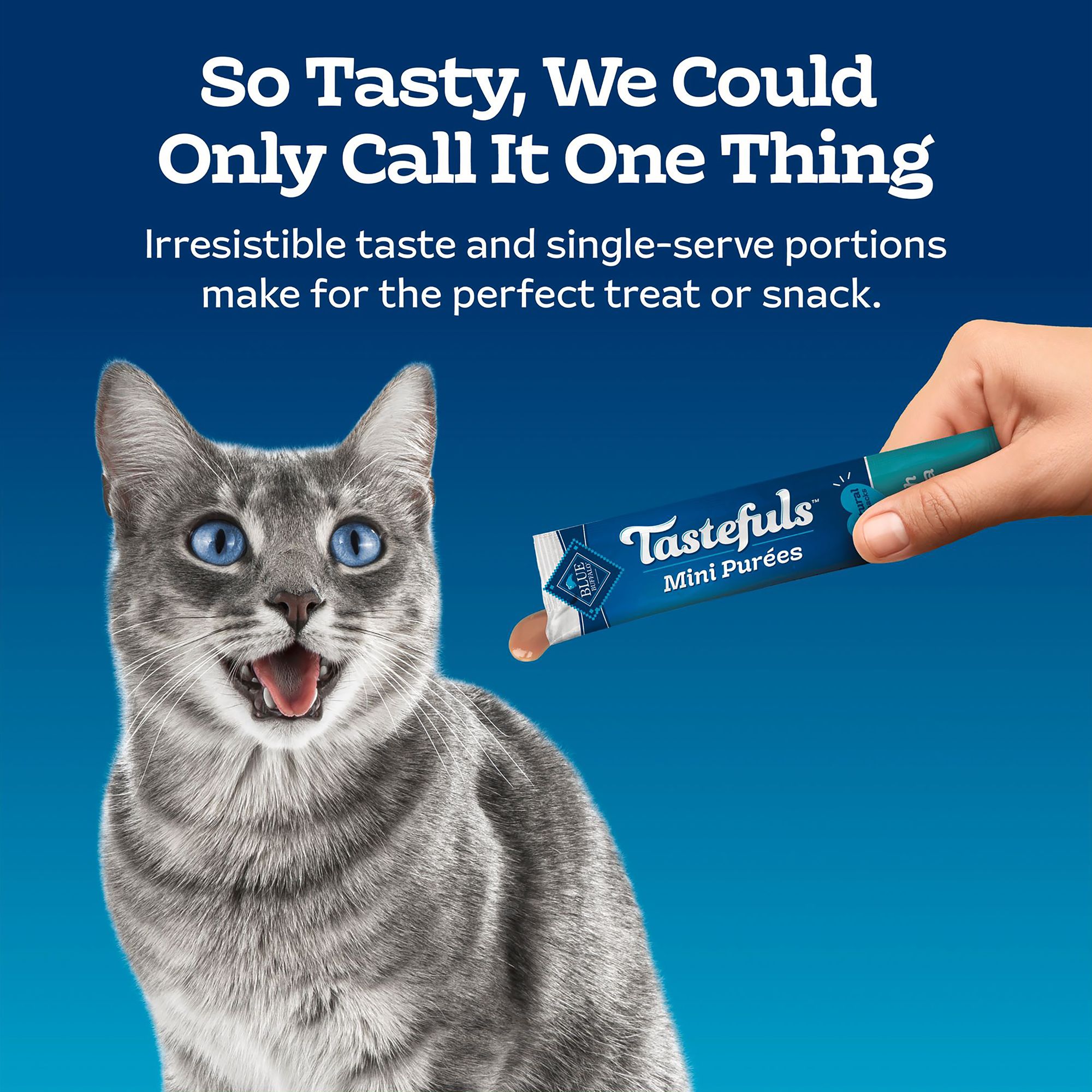 Blue Buffalo Tastefuls Mini Purées Cat Food Complement - 0.5 Oz - thumbnail 4