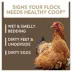 FlockLeader Healthy Coop Litter Additive image thumbnail 3