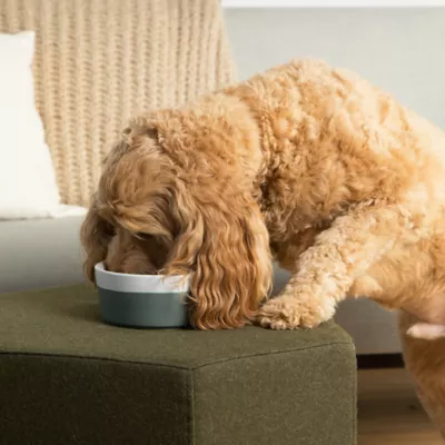 Product Waggo Ceramic Dipper Pet Bowl