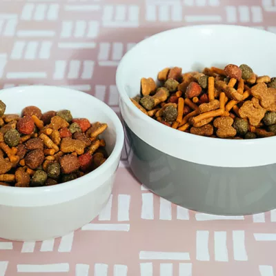 Product Waggo Ceramic Dipper Pet Bowl
