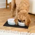 Waggo Ceramic Dipper Pet Bowl image thumbnail 3