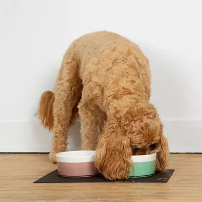 Waggo Ceramic Dipper Pet Bowl - Image 3