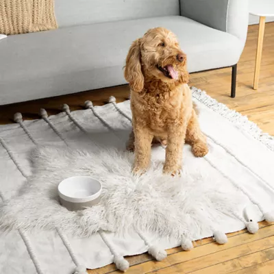 Waggo Ceramic Dipper Pet Bowl - Image 3