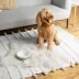 Waggo Ceramic Dipper Pet Bowl image thumbnail 3