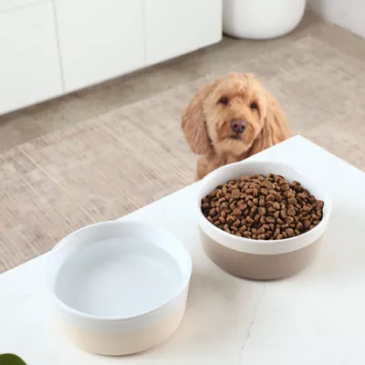 Waggo Ceramic Dipper Pet Bowl - Image 5