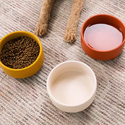 Waggo Ceramic Uplift Pet Bowl - Image 3