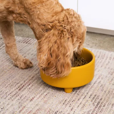 Product Waggo Ceramic Uplift Pet Bowl