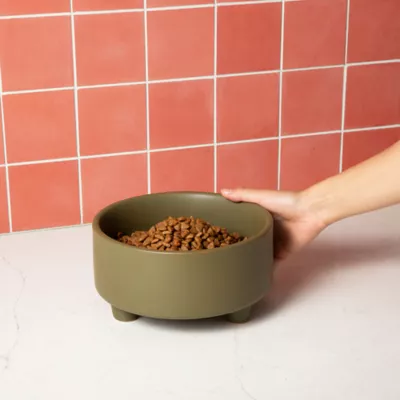 Product Waggo Ceramic Uplift Pet Bowl