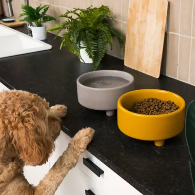 Waggo Ceramic Uplift Pet Bowl - Image 2