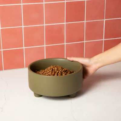 Product Waggo Ceramic Uplift Pet Bowl