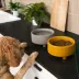 Waggo Ceramic Uplift Pet Bowl image thumbnail 4