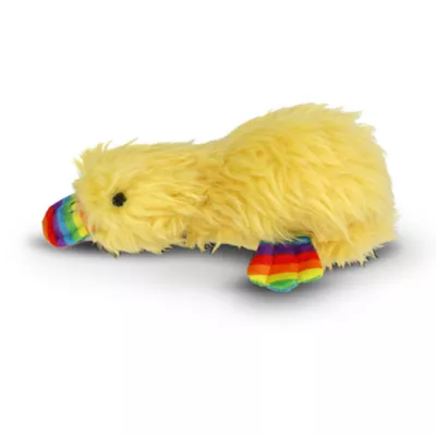 Product Multipet Duckworth Rainbow Squeaker Plush Dog Toy