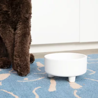 Waggo Ceramic Uplift Pet Bowl - Image 2