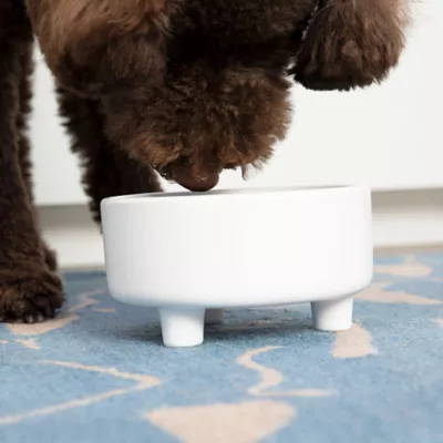 Waggo Ceramic Uplift Pet Bowl - Image 3