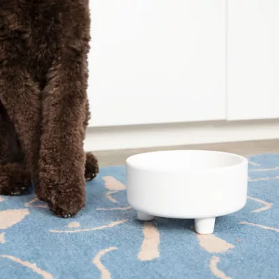 Product Waggo Ceramic Uplift Pet Bowl