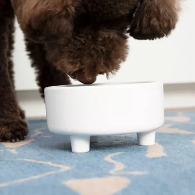 Product Waggo Ceramic Uplift Pet Bowl