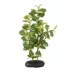 Top Fin® Green Aquarium Plant image thumbnail 1
