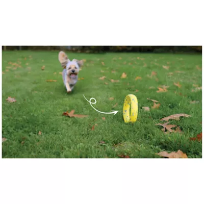 Product Zeus Nitro Dog Toy Weighted Ring Roller, 16cm (6.3in)