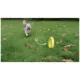 Product Zeus Nitro Dog Toy Weighted Ring Roller, 16cm (6.3in)