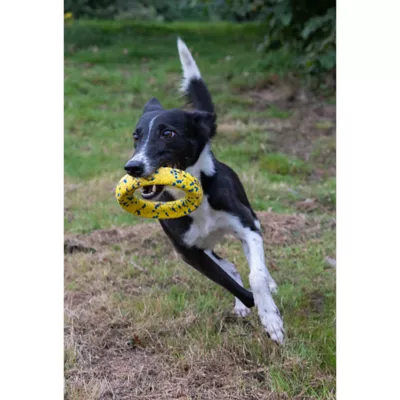 Product Zeus Nitro Dog Toy Weighted Ring Roller, 16cm (6.3in)