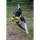 Product Zeus Nitro Dog Toy Weighted Ring Roller, 16cm (6.3in)