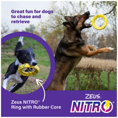 Product Zeus Nitro Dog Toy Weighted Ring Roller, 16cm (6.3in)