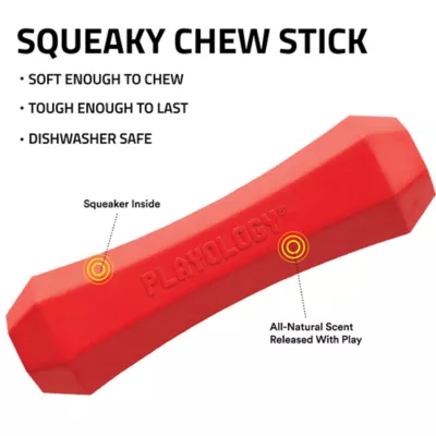 Product Playology Chew Stick Squeaker Beef Scent Dog Toy