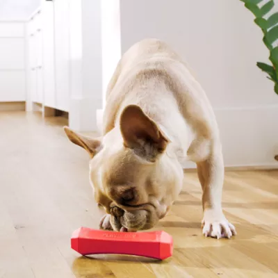 Product Playology Chew Stick Squeaker Beef Scent Dog Toy
