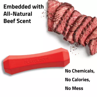 Product Playology Chew Stick Squeaker Beef Scent Dog Toy