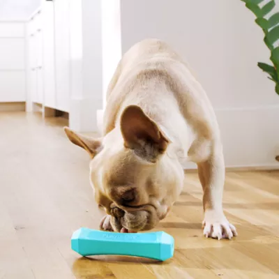 Product Playology Chew Stick Peanut Butter Scent Squeaker Dog Toy