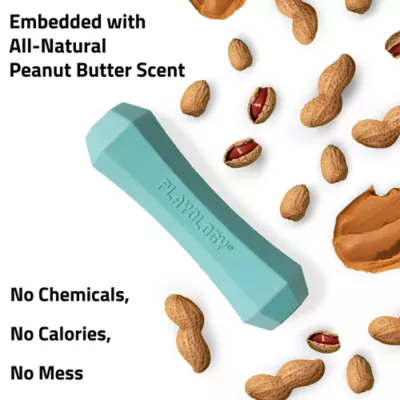 Product Playology Chew Stick Peanut Butter Scent Squeaker Dog Toy