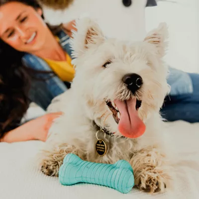 Product Playology Dual Layer Bone Peanut Butter Scent Chew Dog Toy