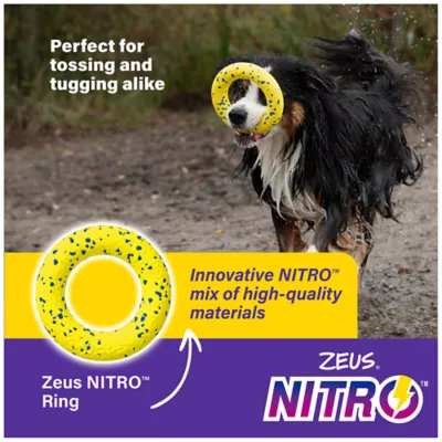 Product Zeus Nitro Dog Toy Ring, 16cm (6.3in)