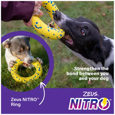 Product Zeus Nitro Dog Toy Ring, 16cm (6.3in)