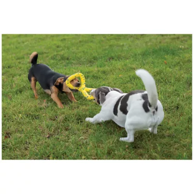 Product Zeus Nitro Dog Toy Tugger, 22cm (8.6in)