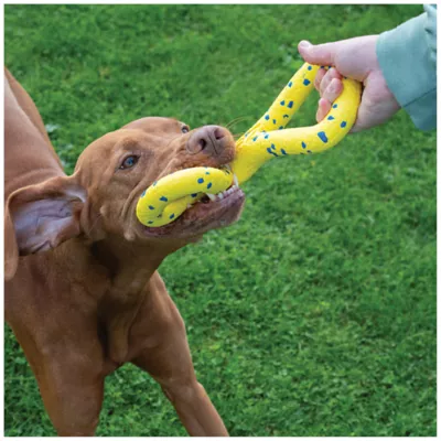 Product Zeus Nitro Dog Toy Tugger, 22cm (8.6in)