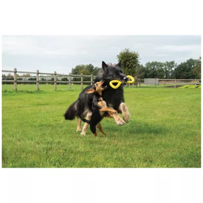 Product Zeus Nitro Dog Toy Tugger, 22cm (8.6in)