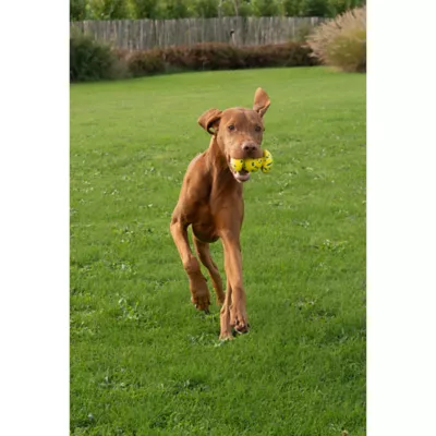 Product Zeus Nitro Dog Toy Weighted Grip Ball, 12.4cm (4.9in)