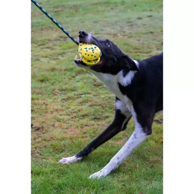Product Zeus Nitro Dog Toy Weighted Slinger with Rope, 9.2cm (3.6in)
