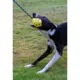 Product Zeus Nitro Dog Toy Weighted Slinger with Rope, 9.2cm (3.6in)