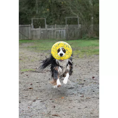 Product Zeus Nitro Dog Toy Flying Disc, 24cm (9.4in)