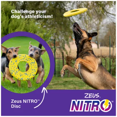 Product Zeus Nitro Dog Toy Flying Disc, 24cm (9.4in)