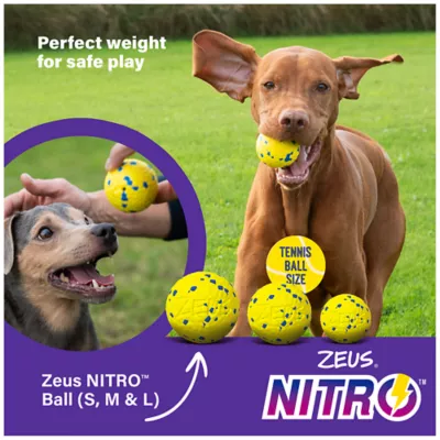 Product Zeus Nitro Dog Toy Weighted Ball