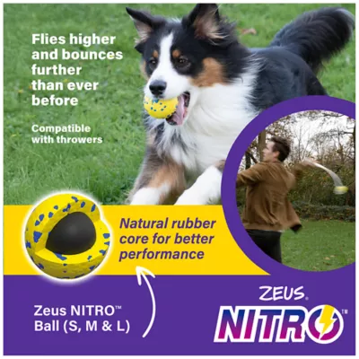 Product Zeus Nitro Dog Toy Weighted Ball