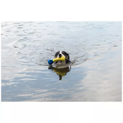 Product Zeus Nitro Dog Toy Weighted Buoy with Rope, 26cm (10in)