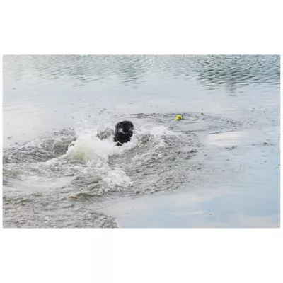 Product Zeus Nitro Dog Toy Weighted Buoy with Rope, 26cm (10in)