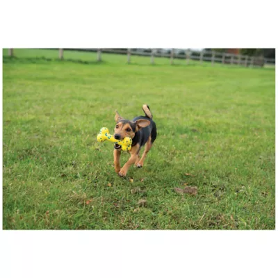 Product Zeus Nitro Dog Toy Bendy Bone, 16cm (6.3in)