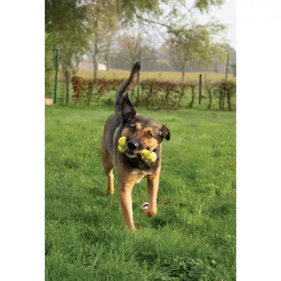 Product Zeus Nitro Dog Toy Bendy Bone, 16cm (6.3in)