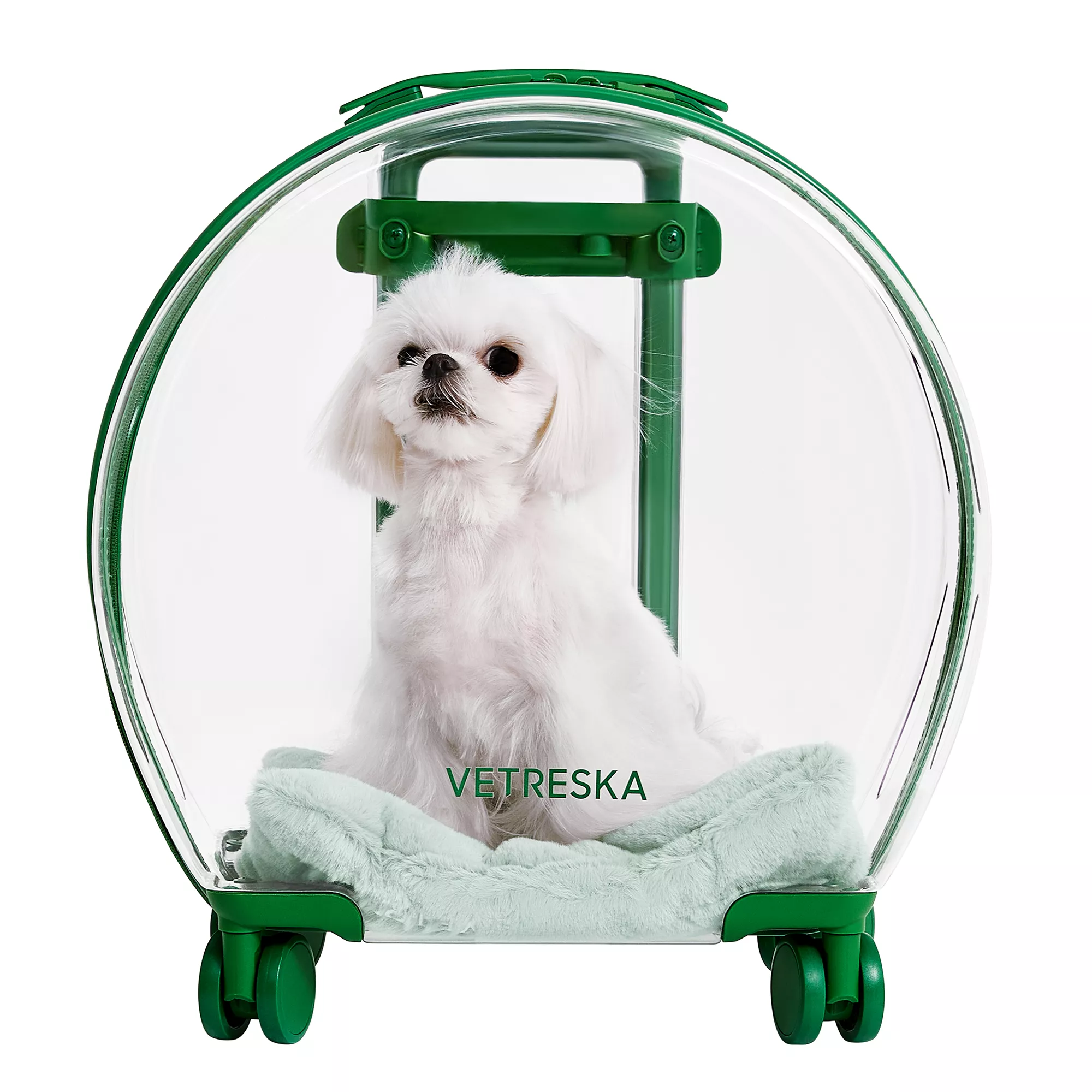 Vetreska Bubble Pet Carrier - Green & Clear