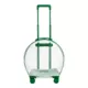 Product Vetreska Bubble Pet Carrier - Green & Clear